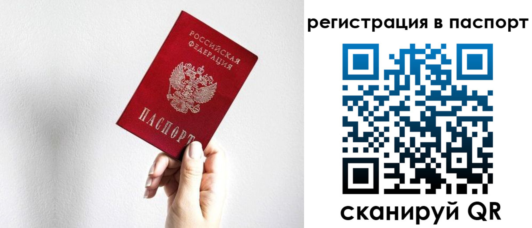 прописка законно в Зарайске